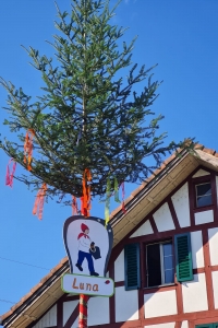 Trychler Nachwuchs