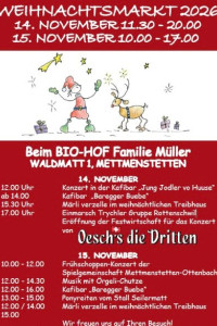 Weihnachtsmarkt Mettmenstetten