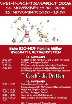 Weihnachtsmarkt Mettmenstetten